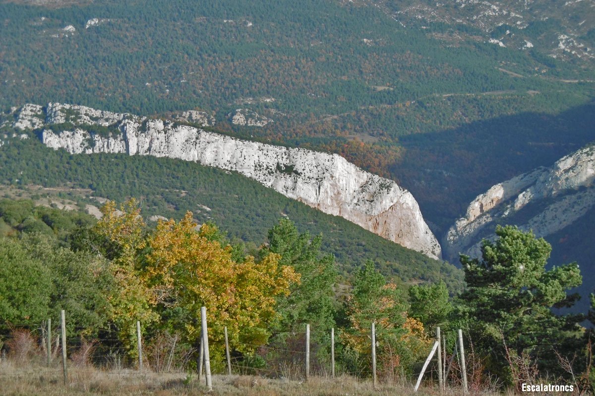 Regal de reis a la paret del Riu Lacó